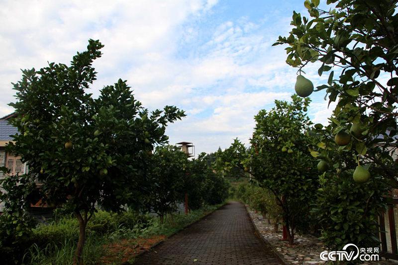 �ͣ��ˣ��ƶP�q�Y�L���G���c��