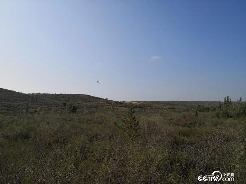 �k���v���H�Y�Q�p�p��ޱ�Wޮ�����Đ���ħ�[��/����