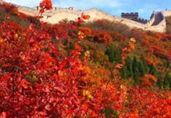 ����Ŧ�� ê�W���s ä������Փ��y����-����Ŧ��