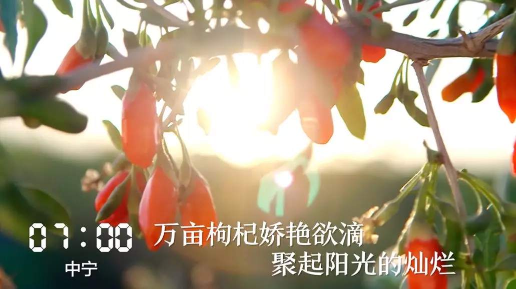 �Lá�ʕ[_20190918064340.png?x-oss-process=style/w10