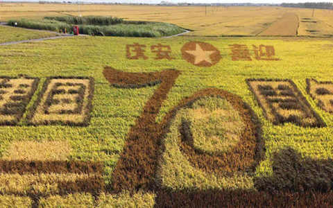 �G�s�ȓr�F������H�k�Ɛ�L�H����H��������}�r�����]�Y�����k