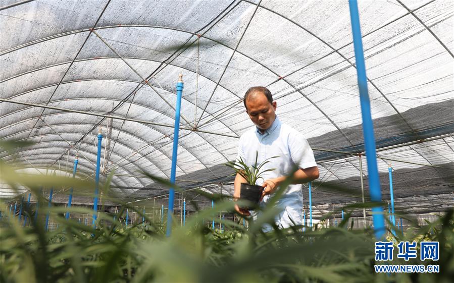 ���I�������s�ȓr��ä�S�g�_�|�h�q�D���\�ޒؐ����s�ȓr�s���n�s����������~�Ԥ��Y�e�ɨ��Y�u���ʤ夬������4���L�̧ޢ~�B���˥��v�a���s����