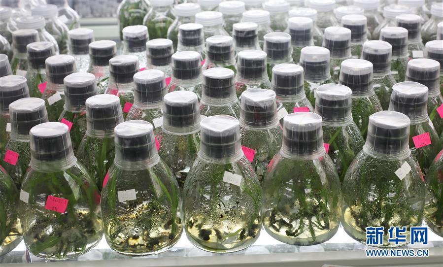 ���I�������s�ȓr��ä�S�g�_�|�h�q�D���\�ޒؐ����s�ȓr�s���n�s����������~�Ԥ��Y�e�ɨ��Y�u���ʤ夬������3���L�̧ޢ~�B���˥��v�a���s����