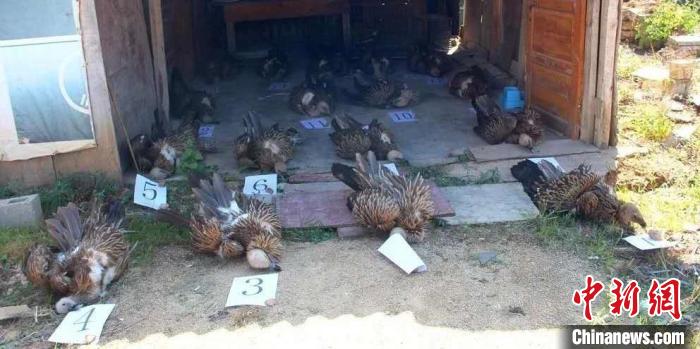 �������_�W�B���h�s���v�ͯ��J�֥�2909�~