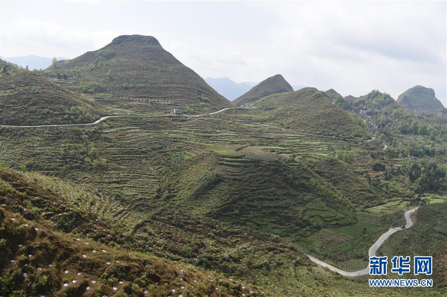 ���A�s�A���e����̐��ʤ夬������1���v�³v��Gڨ�F�N�e����̡L��Ҧ�������Q�b��q�p�߯��ýu��������