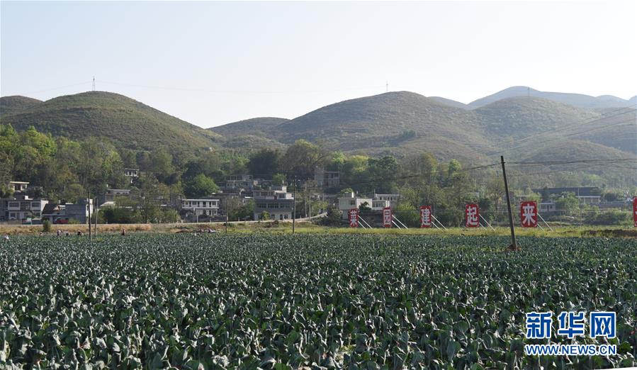 ���A�s�A���e����̐��ʤ夬������2���v�³v��Gڨ�F�N�e����̡L��Ҧ�������Q�b��q�p�߯��ýu��������