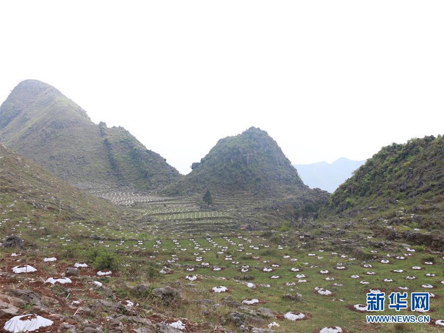 ���A�s�A���e����̐��ʤ夬������4���v�³v��Gڨ�F�N�e����̡L��Ҧ�������Q�b��q�p�߯��ýu��������