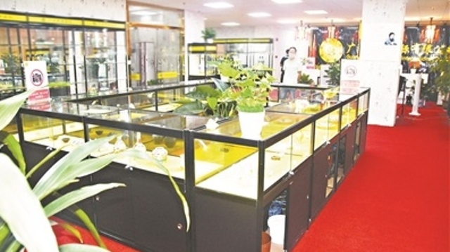 �I�㓰�P���ѓv���� �L���}�v�����v�s�o����