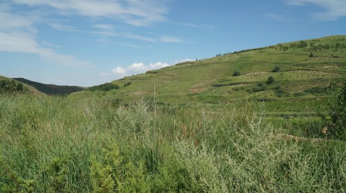 �c�����k��}�z�ꨧ�W�O�Y�ͺA�L����