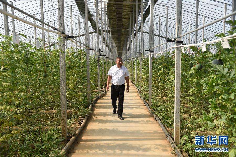 sahCLKY_ʤ夬11Œ͵eNHøse