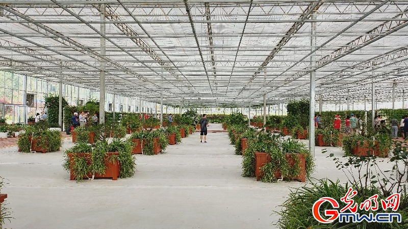 G}{ŦjHҪuui OħŦne̪`ͷs_