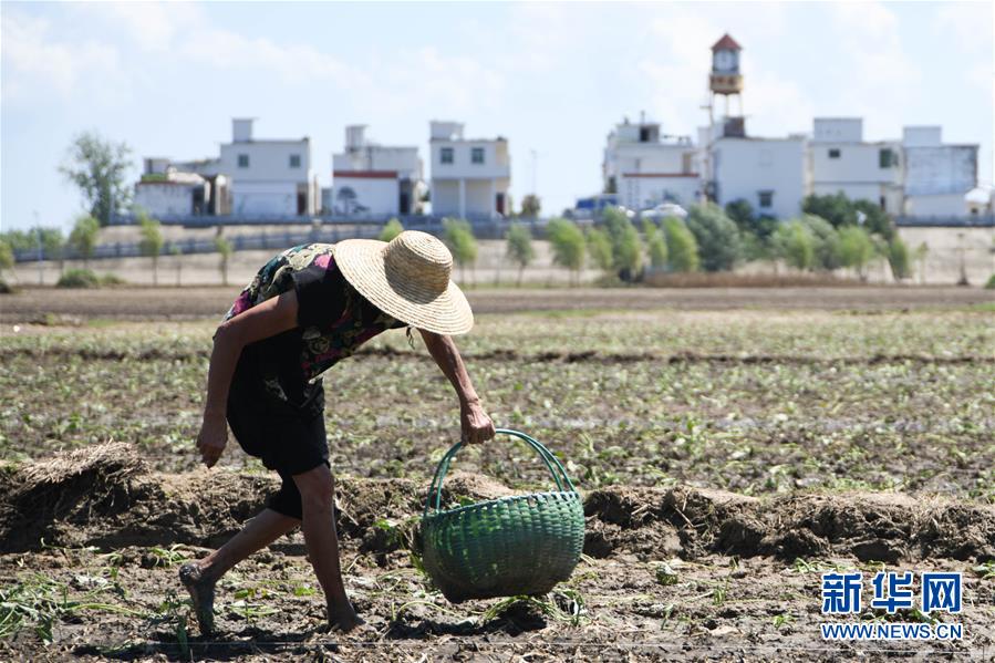 IsȓräSg_|hqD\ޒؐsȓrsns~Ԥuʤ夬1änɒ˥Ihä_o