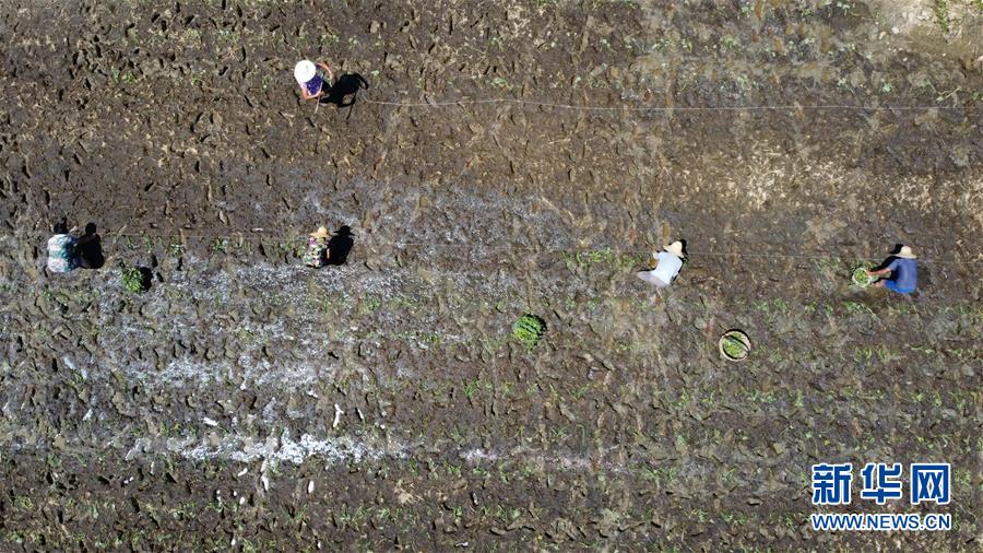 IsȓräSg_|hqD\ޒؐsȓrsns~Ԥuʤ夬8änɒ˥Ihä_o