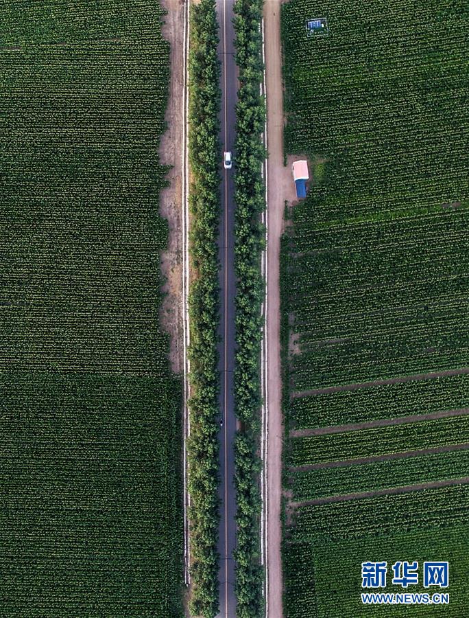 sahCLʤ夬3n}rsjsҧBYvp