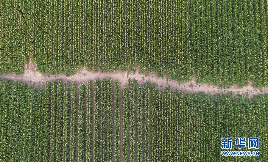 sahCLʤ夬4n}rsjsҧBYvp