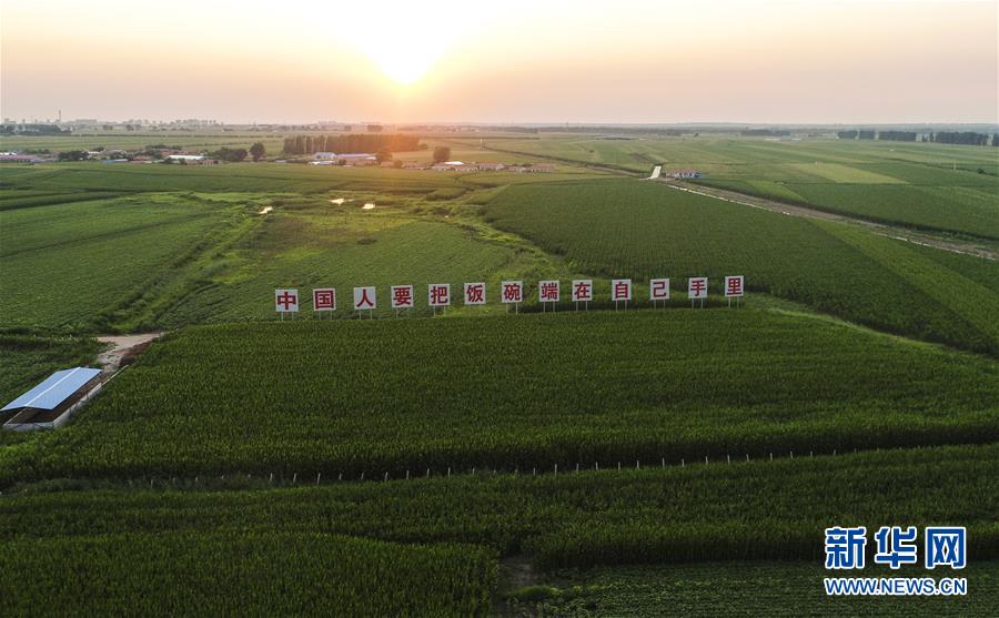 sahCLʤ夬6n}rsjsҧBYvp