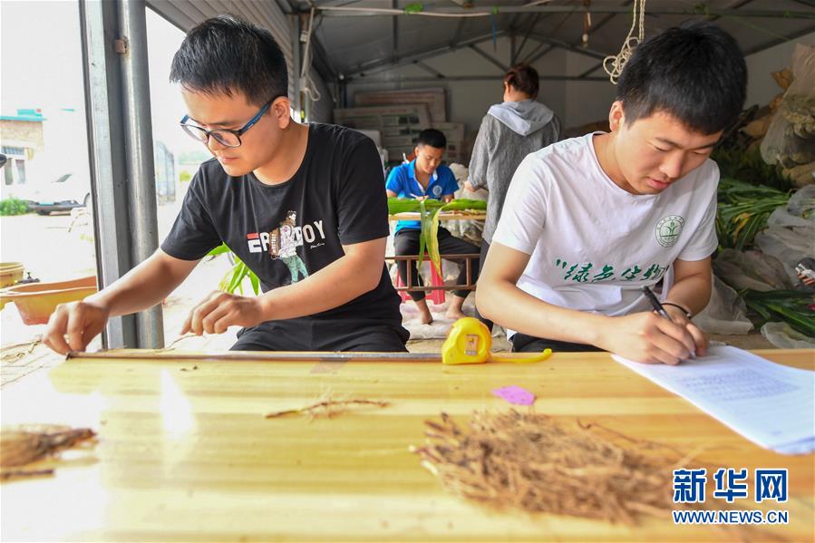 sahCLʤ夬8n}rsjsҧBYvp