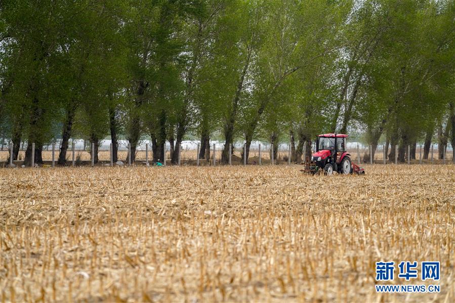 sahCLʤ夬9n}rsjsҧBYvp