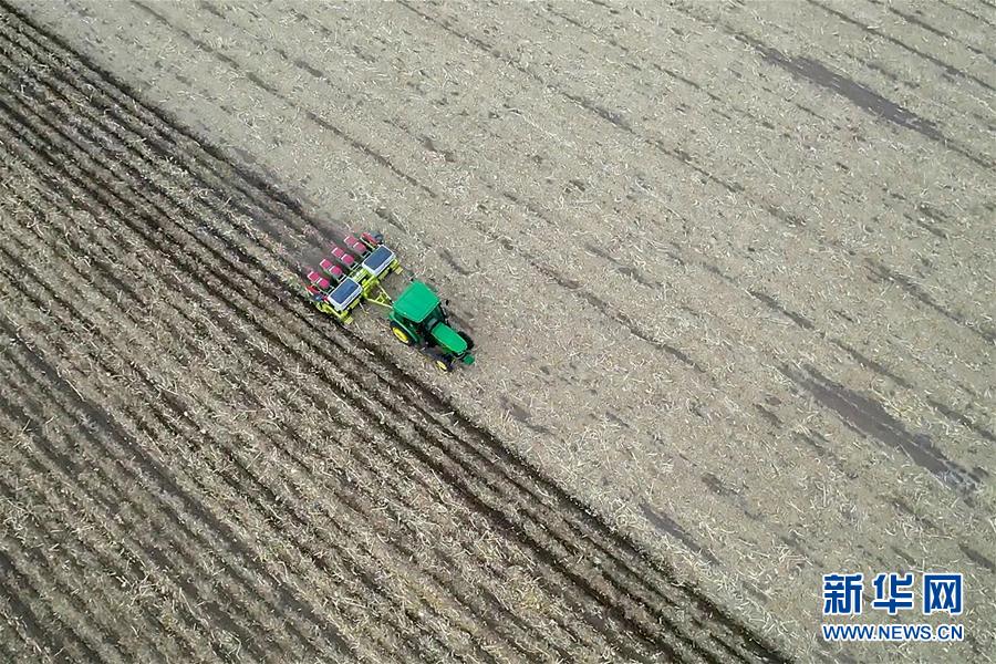 sahCLʤ夬11n}rsjsҧBYvp