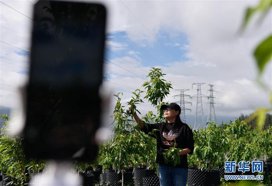 ���A�s�A���e����̐��A�s����쯥��p���ʤ夬������4��12000�O�R�L�W�P����G���D��