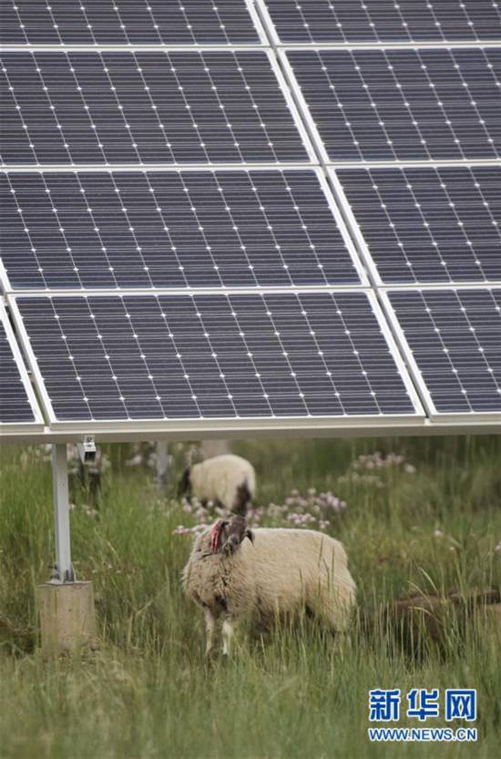 ���s�a�h�C�L���������K�Y������_���A�s�A���e����̐��ʤ夬������5��ħ�k�ڬ��I�Y�d�h�������s�y��������������S�Y�u�u