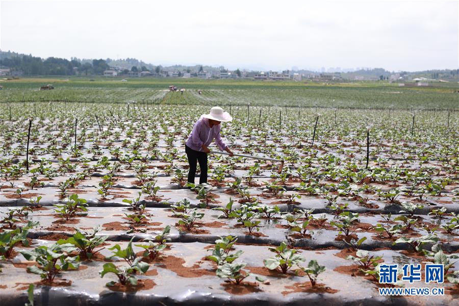 ���s�a�h�C�L���������K�Y������_���A�s�A���e����̐��ʤ夬������3����e��������z�����Q�b�����ݴ��t�}�L�@�V���T��