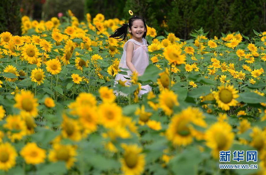 ���s�a�h�C�L���ʤ夬������3���L�Z�ѡ������{ �ç���ä�������hä���H�w��ä�����Σ}�ѭf�