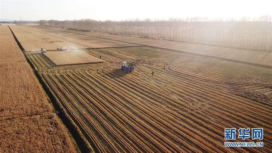 ���g������1���L�����[���ΣO�F