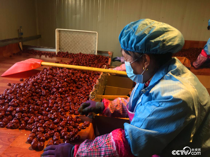 �����o�B�����˥��I�������