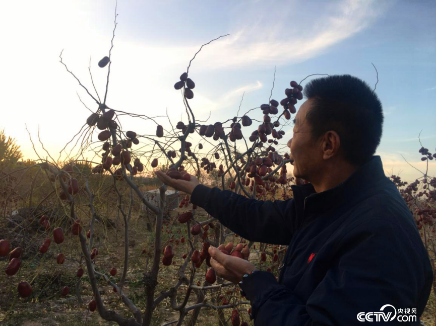 ���C�u���ݧ�g�A�Y�s�ѶP�@��