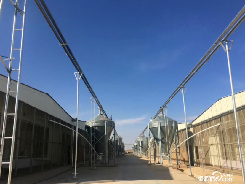 �x��K���p�����y���s�����Y�ͷ����ư¥�