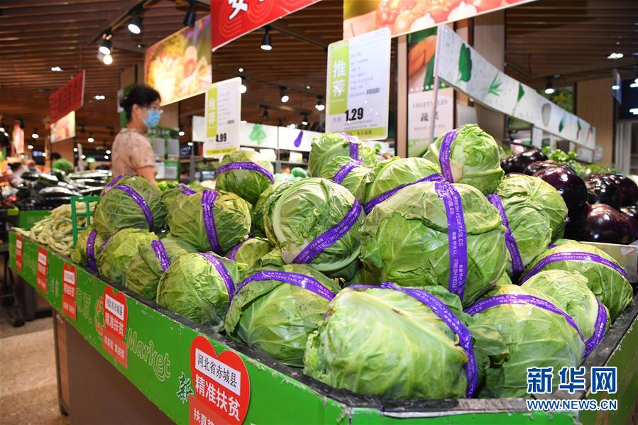 ���s�a�h�C�L�������h�|���I�I�H�����ʤ夬������10�����ޓ��y�z�e�����ܓ���i�s����