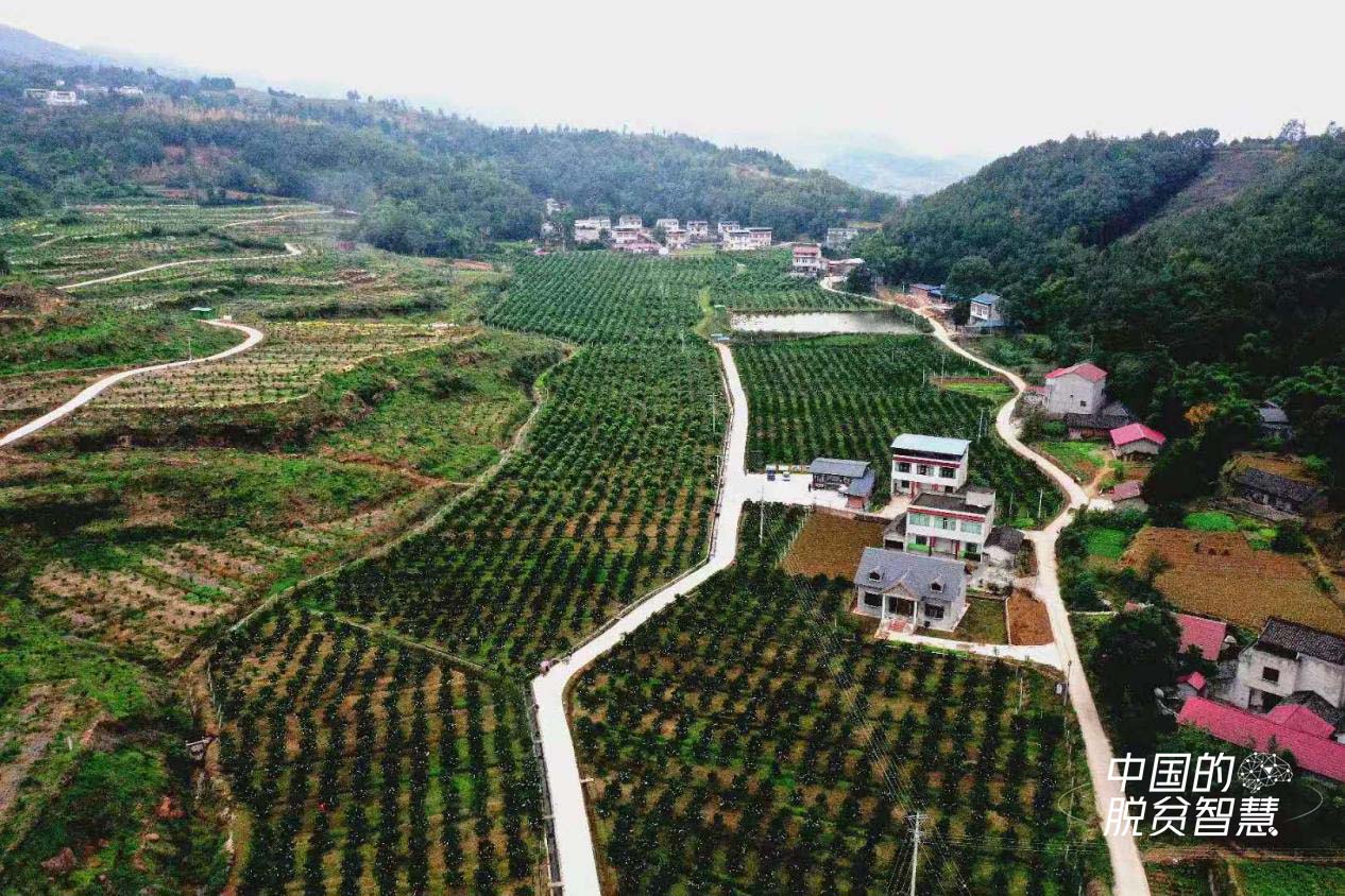  ڤ�e����������s���I���ʐ�