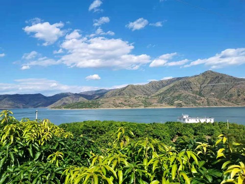 �a�W�E���Y�h�ĶP�q�Z�[���˥��{�ܩI�~�k �m���j ��