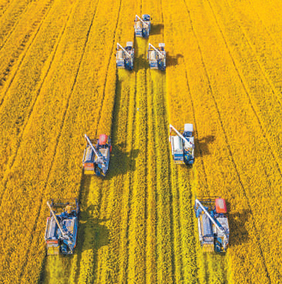 2.3%�ޒɤ��~�Y���W������g���s��x2020�G������