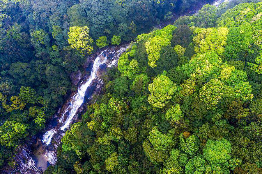 �������s�����y���G�v���Oҧ���r��W����