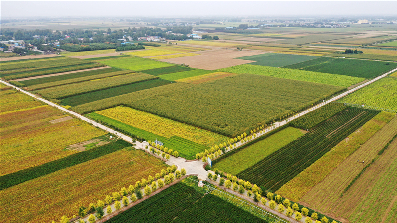 ��ä���k���o�H�[�H��