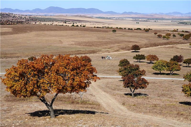 ��ä�������I�H�[�H�� �����C/��