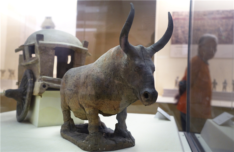 �|���Y��ͭ�n�]�o