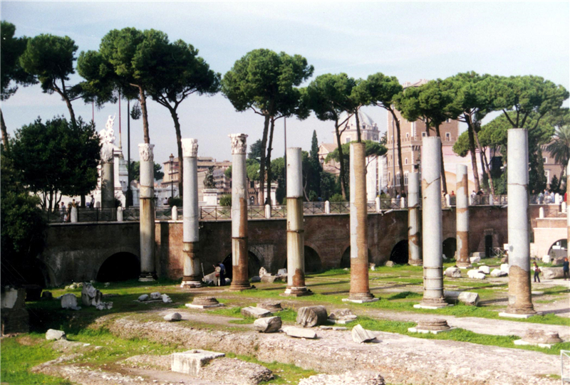 ���`�J�S�Գݥ��j�ؔ���~