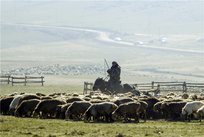 �s���I���Y���I�r��