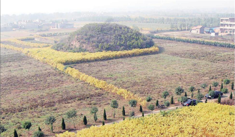 �x��e�h�c���Y��ͭ���������r