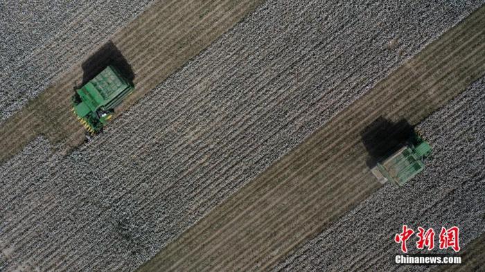 �����۲ʳZ���I�ۣO������T����� ��