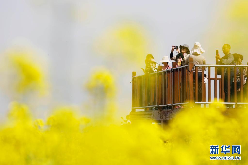 �e�h�}�ې䥴�y�����g�� ������������