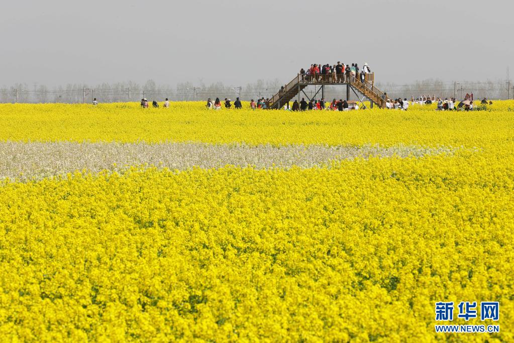 �e�h�}�ې䥴�y�����g�� ������������