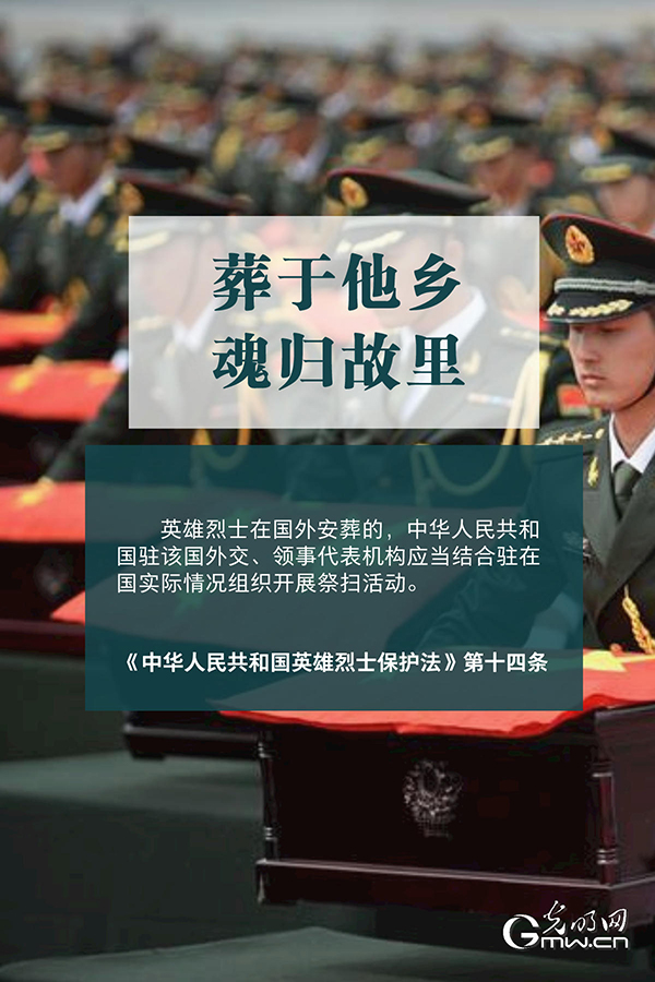 �M�R�B�Y�P|�M���Y�R�ް����u���\�@��