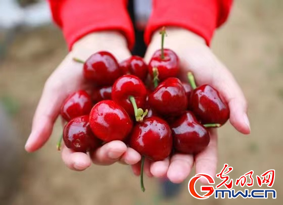 GIo˨ߣ~IдCyl[oH^[}rܭSZ俰樽YPj