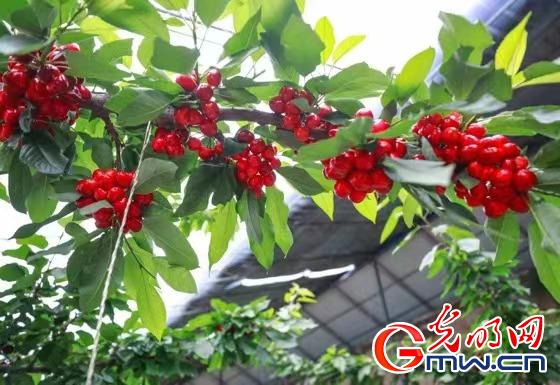 GIo˨ߣ~IдCyl[oH^[}rܭSZ俰樽YPj