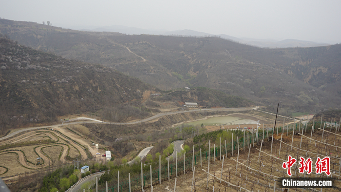 Zw^^o[ħﰨhՕͺAܭSZ <a target='_blank' href='http://103.249.53.35/gate/big5/www.chinanews.com/' ><p align=