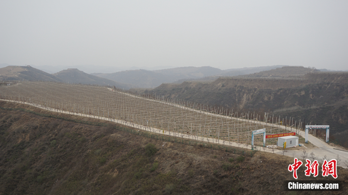 Zw^^o[ħﰨhՕͺAܭSZ <a target='_blank' href='http://103.249.53.35/gate/big5/www.chinanews.com/' ><p align=